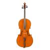                          『2010收藏品』法國大提琴古琴：Germain & Dehommais a Paris, 1879                      