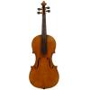 德國小提琴古琴:A GERMAN VIOLIN, EARLY 20th CENTURY