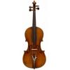 德國小提琴古琴：A GERMAN VIOLIN, EARLY 20th CENTURY