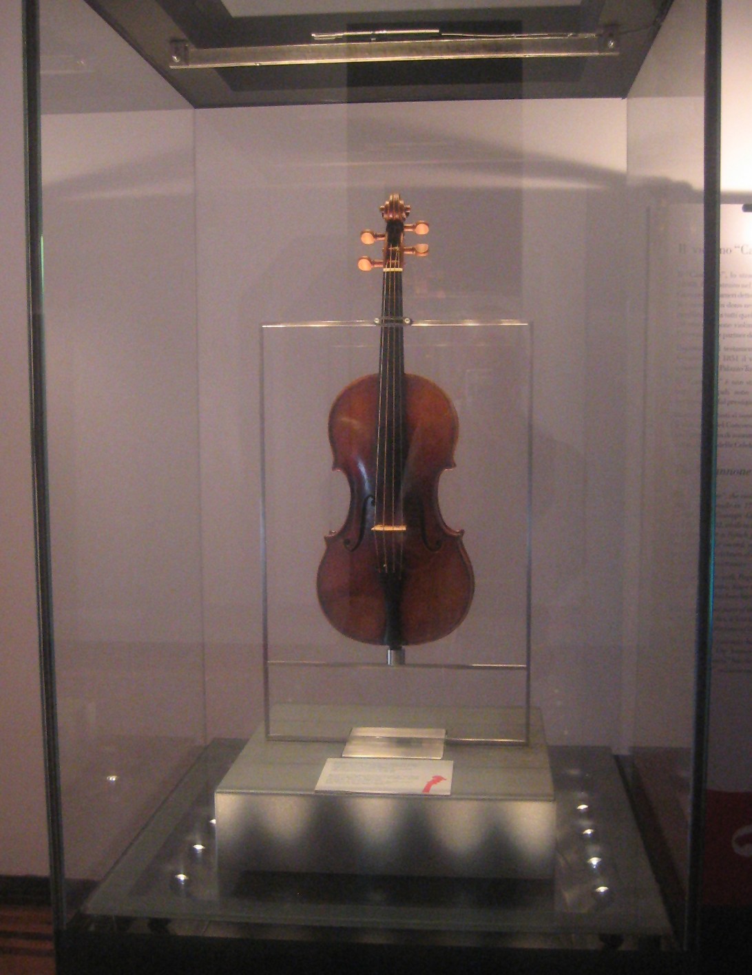 Violino_Cannone.jpg